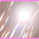 스테이 길리 풀빌라 글램핑 이미지