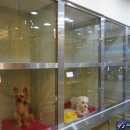 와이즈 동물병원 이미지