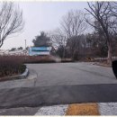 장현공인중개사사무소 | 장현동부동산 신뢰로 빛나는 장현도깨비공인중개사사무소 후기