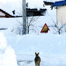 산북1리 이미지