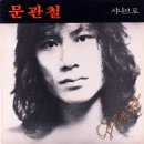 비처럼 음악처럼 (LP) - 문관철 이미지