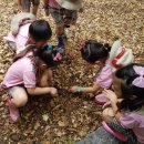 배곧새솔어린이집 이미지