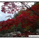 빈노래연습장 이미지