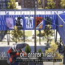D00950 이미지