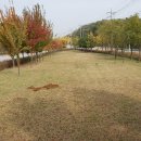 유실목장 이미지