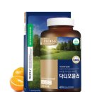 신진피에스