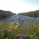 엉터리해장국 안양역점 이미지