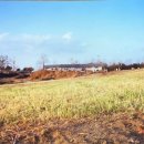 도움목장2 이미지