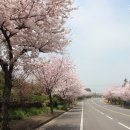 화순해안로 이미지