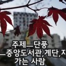 경남대학교 중앙도서관 앞 마지막단풍 이미지