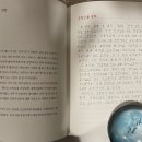 필사 10월 03일 문재인의 운명_12. 조작간첩 사건 이미지