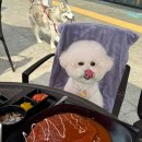 가평(춘천방향)휴게소 무공돈가스 이미지