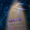 은하수크린 이미지