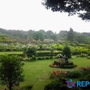 풀냄새꽃향기 이미지