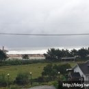 주문진밤도깨비 이미지