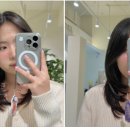허쉬HS
