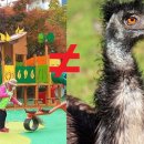 대갈놀이공원 이미지