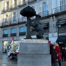 LA음악광장 | 여행] 9일차(2026.01.23.) 마드리드 여행(Sol광장/ 마드리드 왕궁/ 알무데나 대성당/ 오징어 샌드위치...