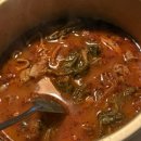 다은동물병원 | [일상] 251229-260104