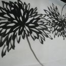 사군자 국화 이미지