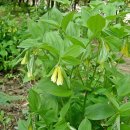 보성꽃식물원 이미지