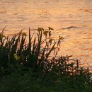 모란생태공원 이미지