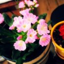 박사보건진료소 이미지