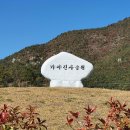 양산신-2017 이미지