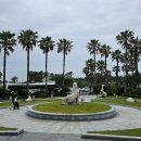 홍중동로 이미지