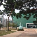 전통민화 | 부안청자박물관, 기획전시 ‘도자기 따라 민화 산책’ 개최