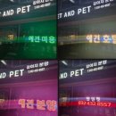 펫앤펫 이미지