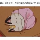 먹고싶은게 많은 여성의 1월