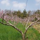 성원농장 이미지