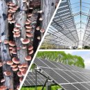 미소 태양광발전소 이미지