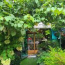 봄내식당 이미지