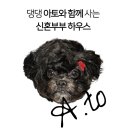 스테이도담도담 이미지