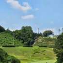 동강시스타 이미지