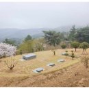 태웅장묘 네이버블로그