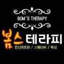 봄스웨디시 이미지