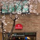 도봉-쌍문-도봉-1119 이미지