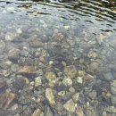 봉평마을회관 | 흥정계곡 파라솔 빌리기❤️구명조끼 무료/흥정계곡 아래쪽 후기