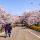 선경화학