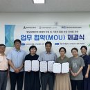 가치제주 이미지
