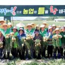 영천시 지역특화 임대형 스마트팜 조성사업 온실설치공사 | [특집] 경북도, ‘농업대전환’으로 국가 농정 혁신 견인