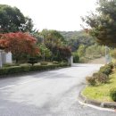강남메타인기숙학원 이미지