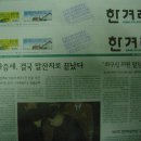 주공A경로당 | 12월 마지막주 진알시 후기...진알시가 있어 행복하다!