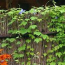 쌍둥이네흙집 이미지