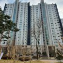 다나성모소아청소년과의원 이미지