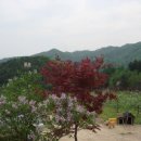 하늘아래첫농장 네이버블로그