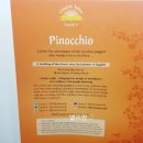 Pinocchio-5 이미지